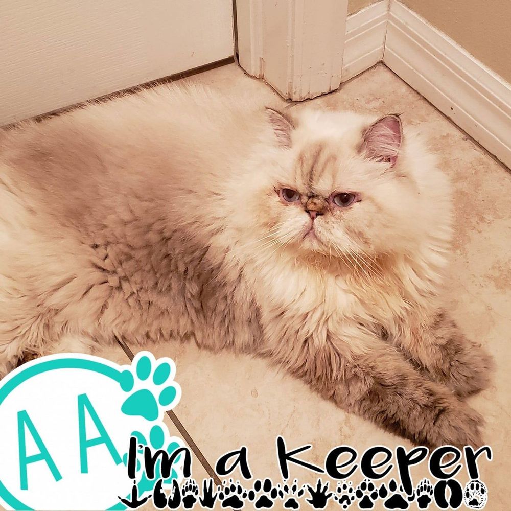 Meet your Posher, Denise